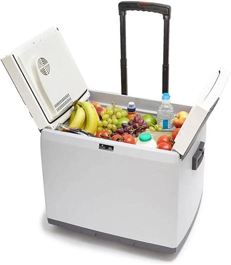 electric cooler box reviews|240v electric cool boxes uk.